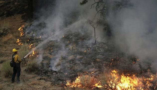 В Португалії введено режим надзвичайного стану внаслідок лісових пожеж.