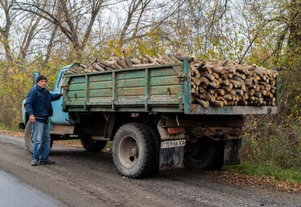 Розпочалося: мешканець Миколаївської області отримав штраф за дрова без супровідних документів | FaceNews.ua: новини України