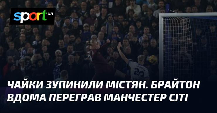 Чайки перешкодили планам місцевих жителів. Брайтон здобув перемогу над Манчестер Сіті на своєму полі.